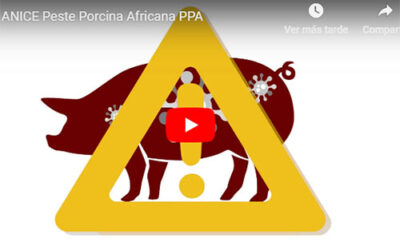 Vídeo de ANICE para que empresas y trabajadores del sector conozcan el riesgo y medidas de prevención frente a la peste porcina africana