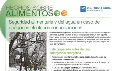 Seguridad alimentaria y del agua en caso de apagones eléctricos e inundaciones